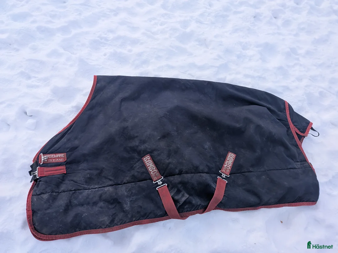 Täcken hästutrustning till salu: Rambo Horseware - 115 cm - Annons 2