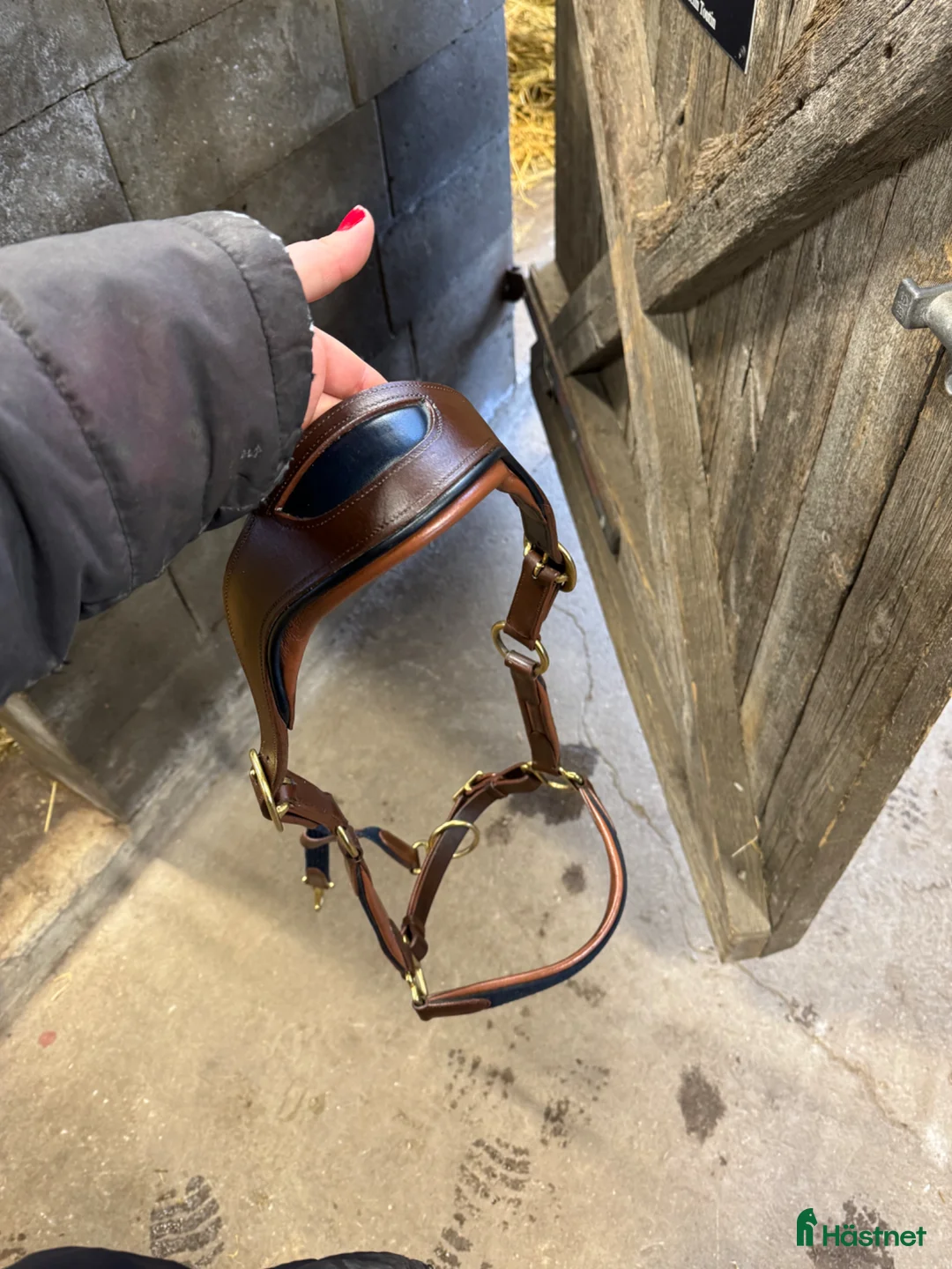 Övrig Hästutrustning hästutrustning till salu: PS of Sweden lädergrimma - Annons 3