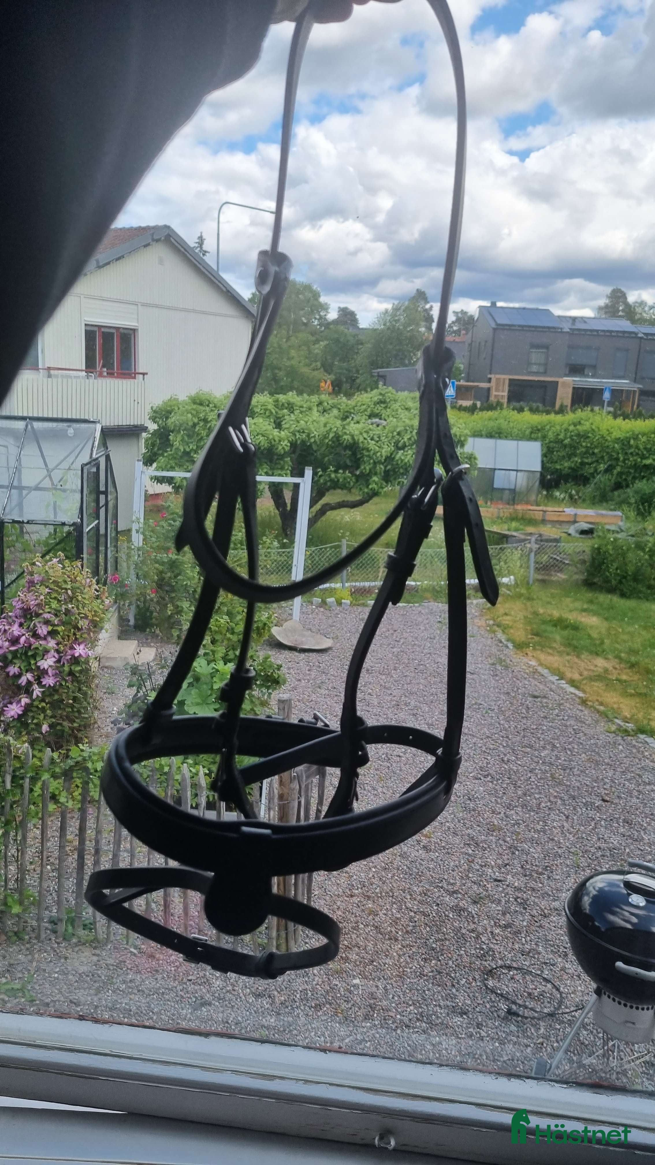 Träns hästutrustning till salu: Svart hunter träns från Fairfield 🌹 i Huddinge - Annons 7