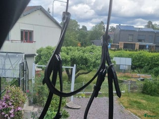 Träns hästutrustning till salu: Svart hunter träns från Fairfield 🌹 i Huddinge - Annons 2