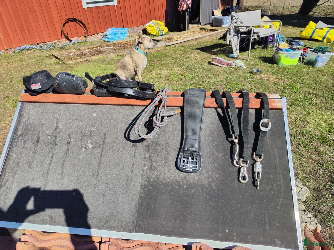 Övrig Hästutrustning hästutrustning till salu: 2  stora trunkar med grejer strl cob i Vreta Kloster - Annons 13