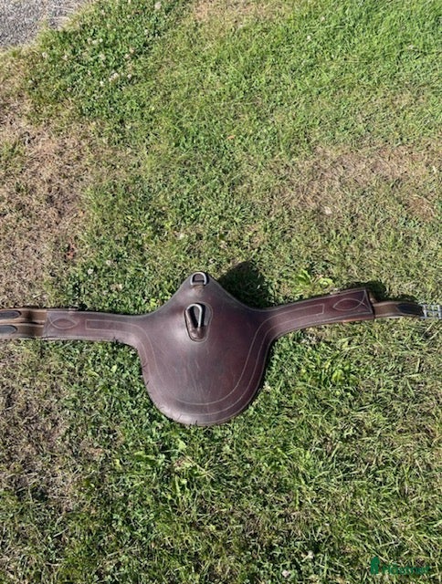 Sadeltillbehör hästutrustning Magplatta i Johannishus - Annons 18