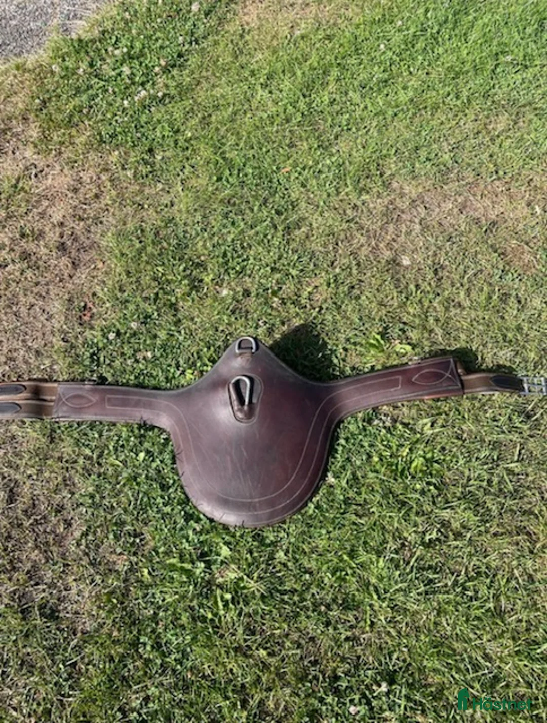 Sadeltillbehör hästutrustning till salu: Magplatta i Johannishus - Annons 1