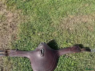 Sadeltillbehör hästutrustning Magplatta i Johannishus - Annons 18