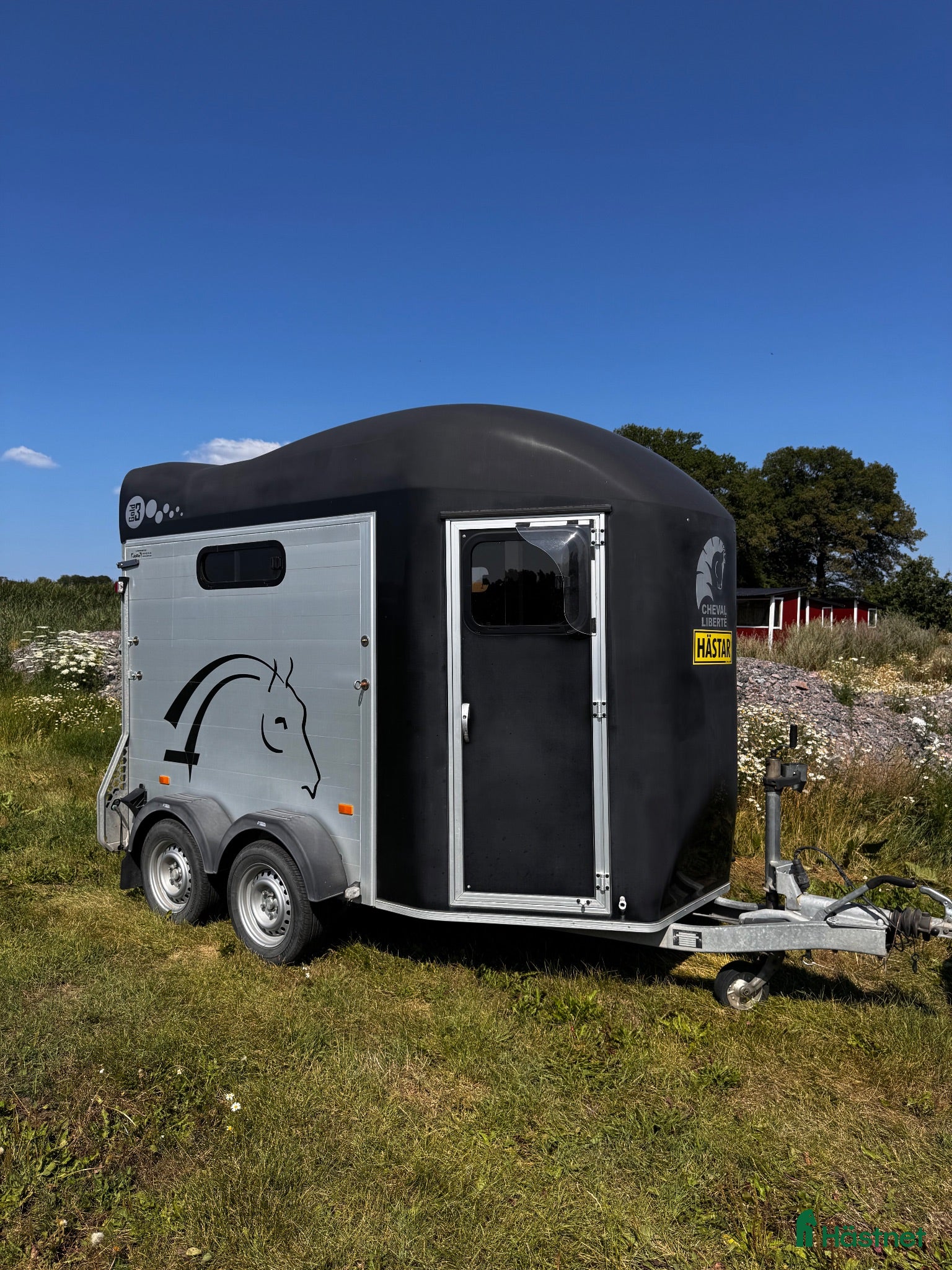 Hästtransporter  fordon & transport till salu: CHEVAL LIBERTÉ Gold 3 - Annons 21