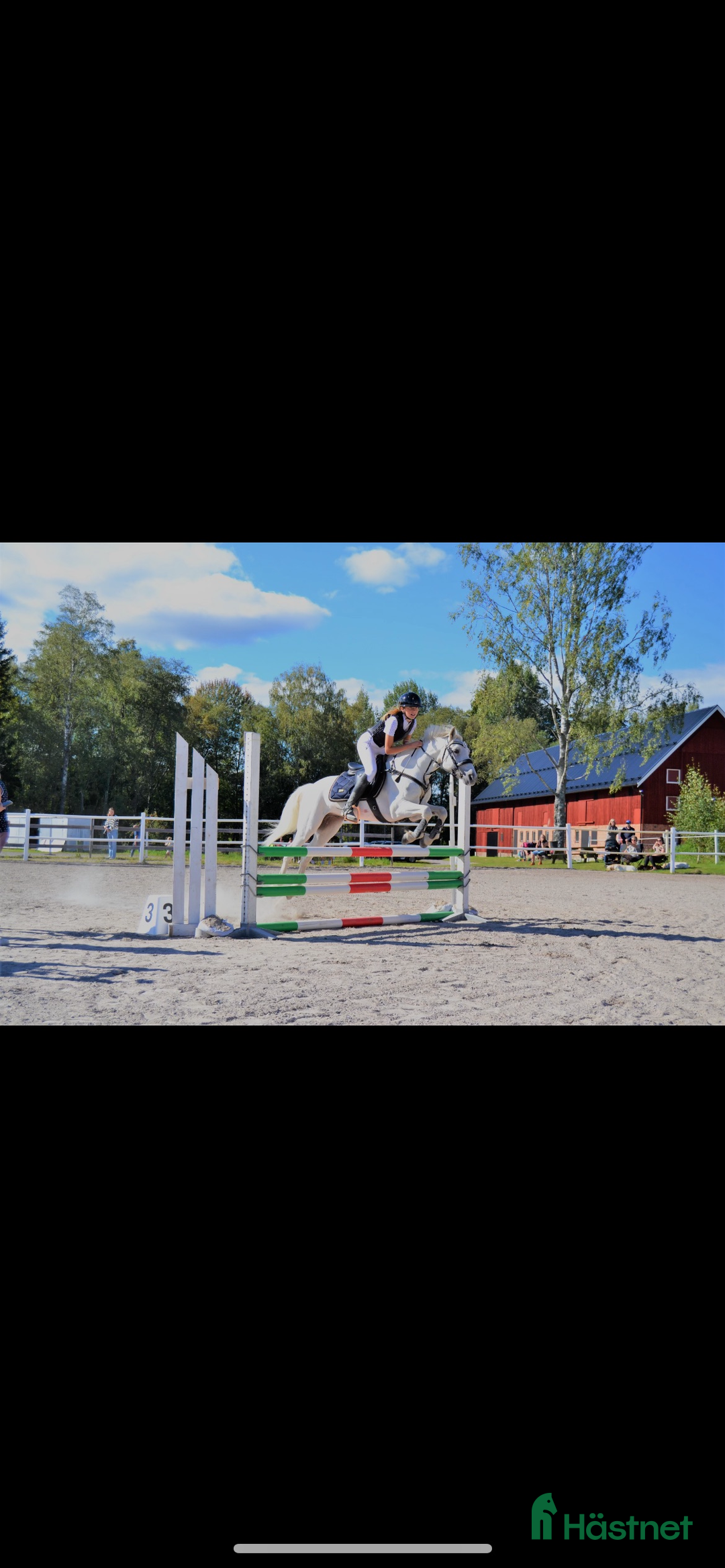 Allround hästar till salu: Allroundponny maxad C i Årjäng - Annons 3