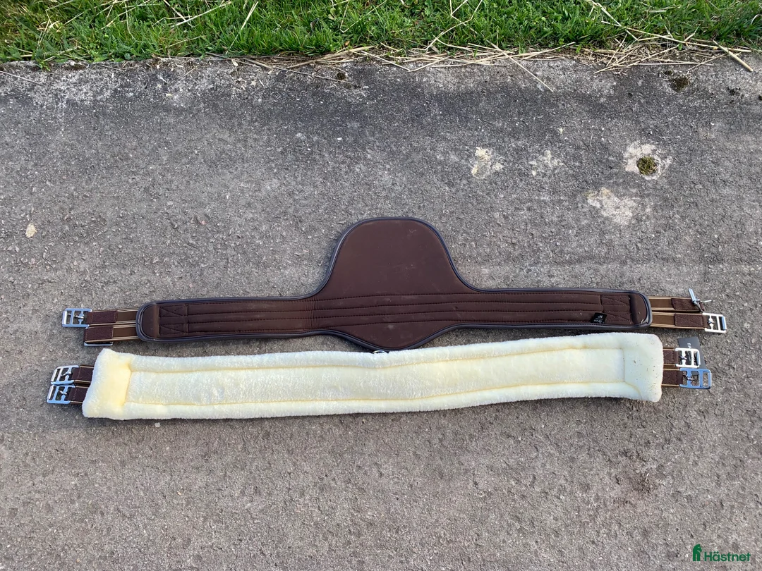 Sadeltillbehör hästutrustning till salu: Sadelgjord + magplatta Fairfield – HELT NYA! - Annons 8