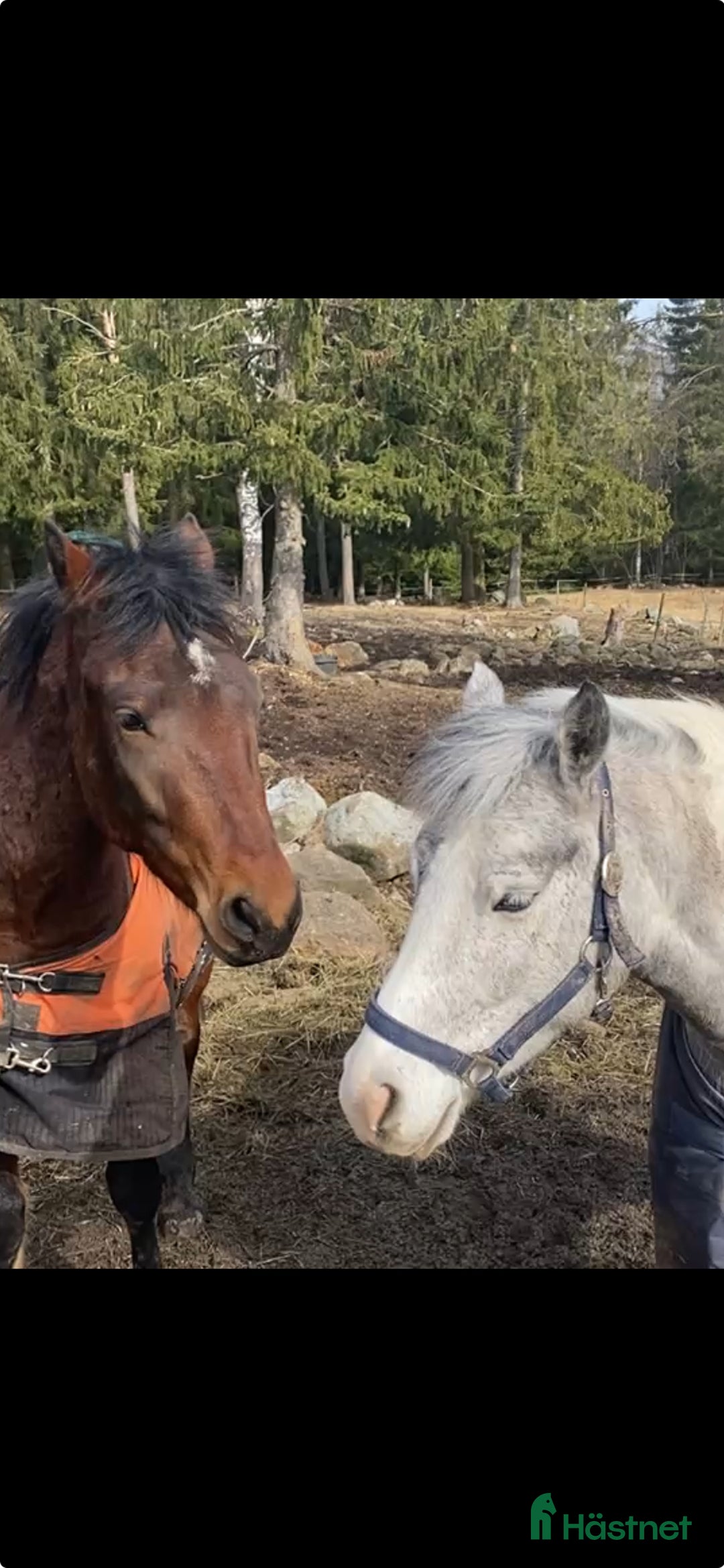  lägenhet till salu: Uthyres fräsch  lägenhet på vår hästgård i Järlåsa - Annons 2