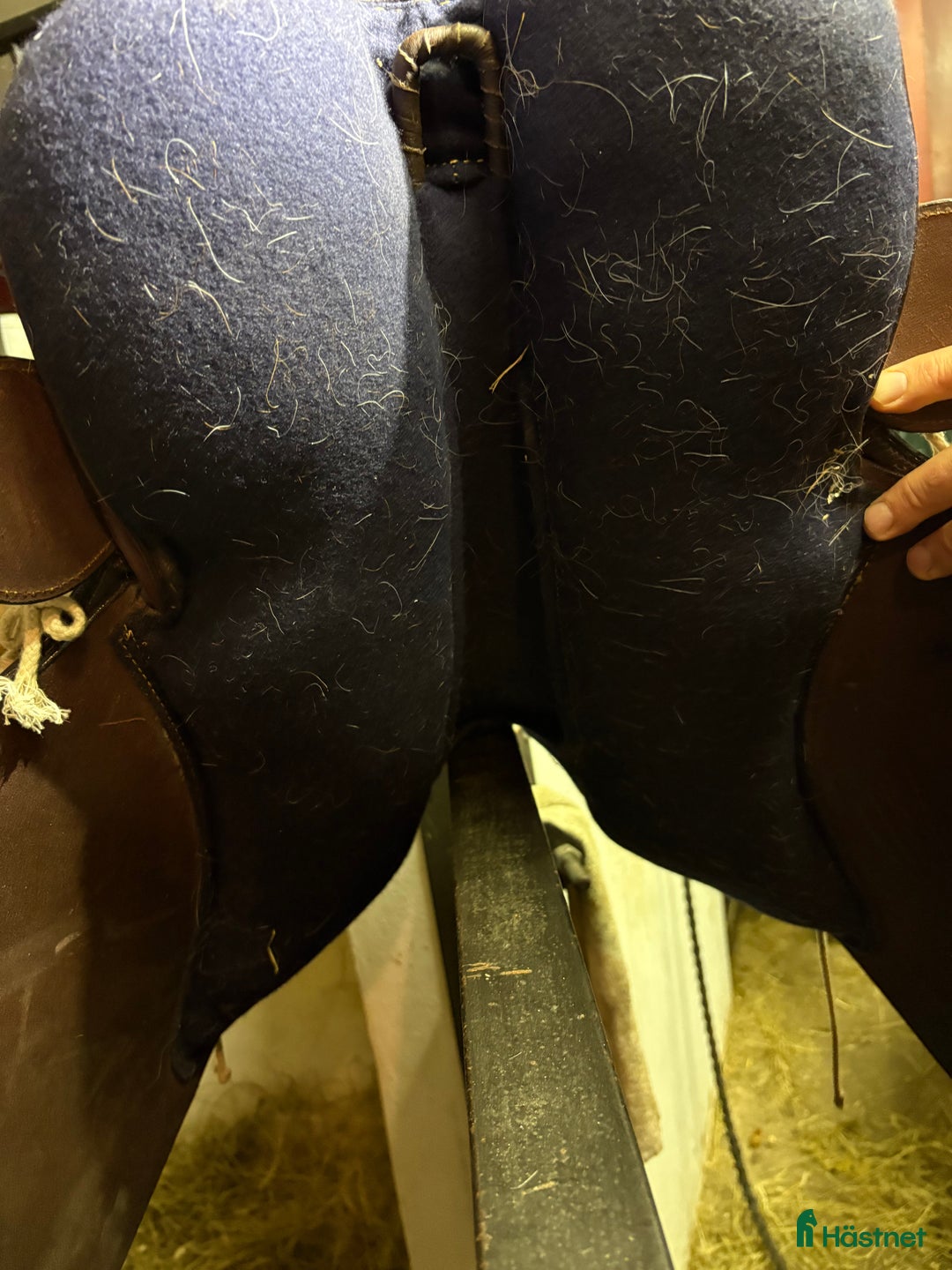 Sadlar hästutrustning till salu: Stocksadel med horn extremt bekväm  i Habo - Annons 6