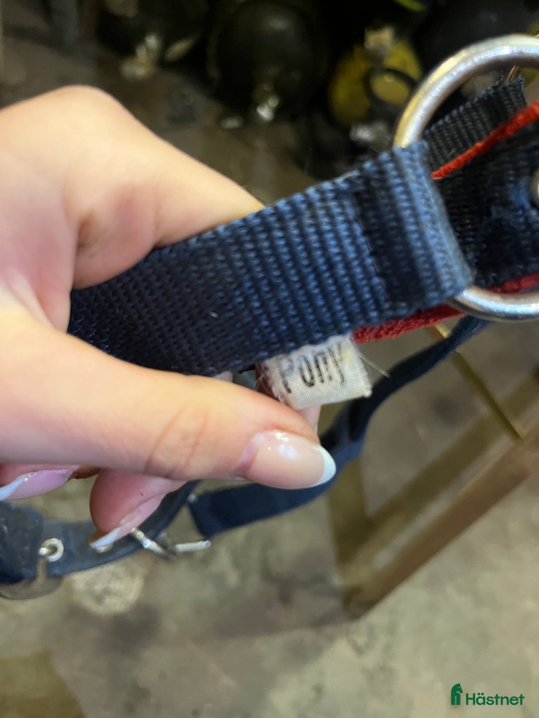 Övrig utrustning övrig utrustning till salu: Snygg grimma  i Norrköping - Annons 2