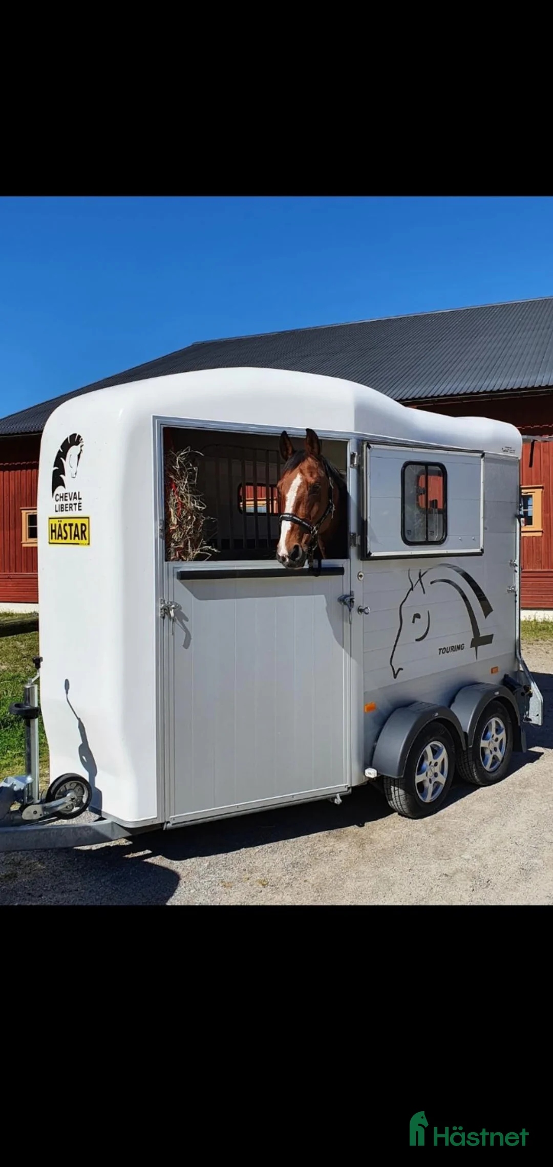 Hästtransporter  fordon & transport till salu: Cheval Touring Country 2019  - Annons 1