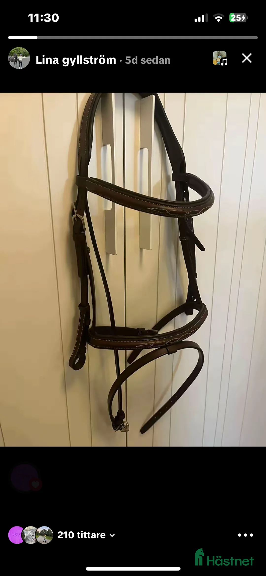 Träns hästutrustning till salu: brunt lippo träns nytt i Spånga - Annons 1