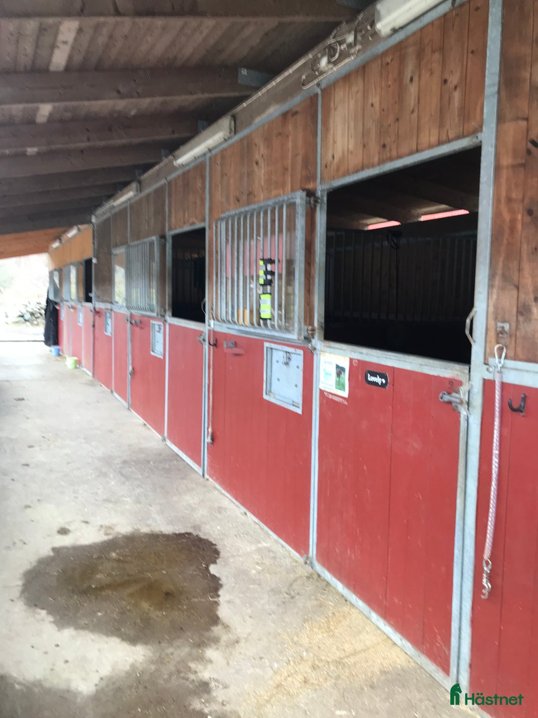  stallplats finnes: Ledig boxplats i ett härligt stall i Lindome i Lindome - Annons 3