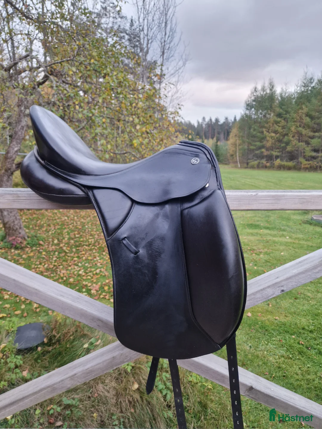 Sadlar hästutrustning till salu: Kieffer Lusitano till rak rygg  i Rejmyre - Annons 1