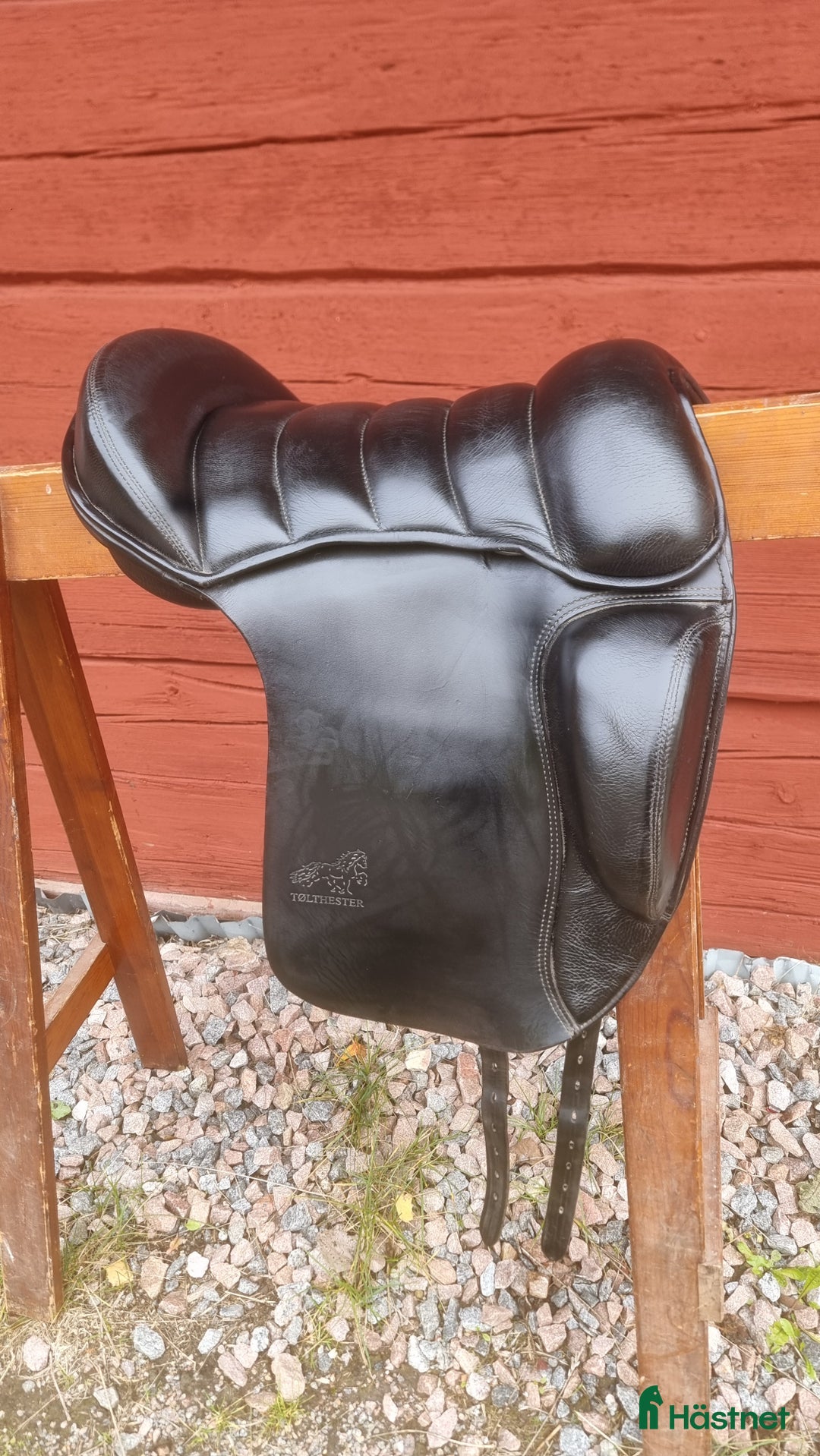 Sadlar hästutrustning till salu: Tølthester Tønn Gel  i Edsbyn - Annons 1