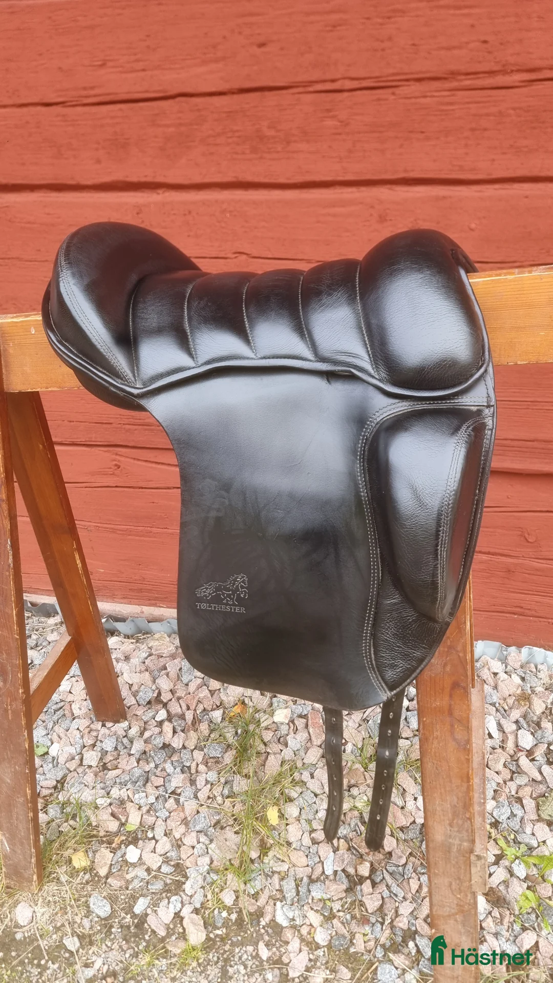 Sadlar hästutrustning till salu: Tølthester Tønn Gel  i Edsbyn - Annons 1