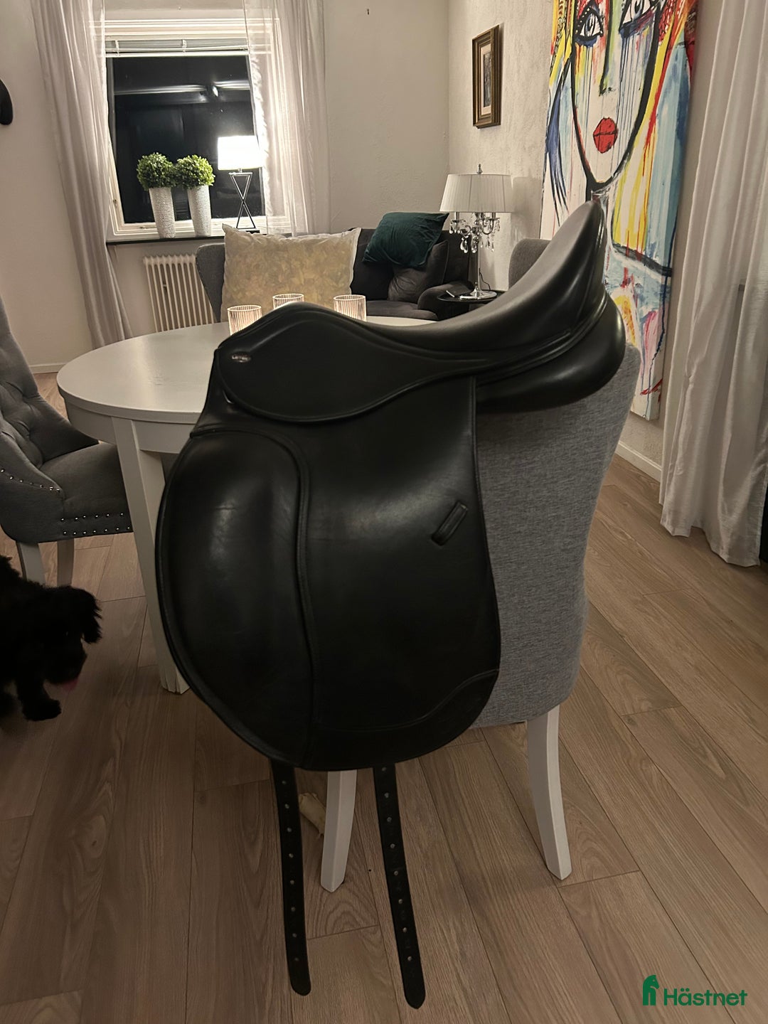 Sadlar hästutrustning till salu: Letek by Tekna dressyrsadel  i Bromölla - Annons 1