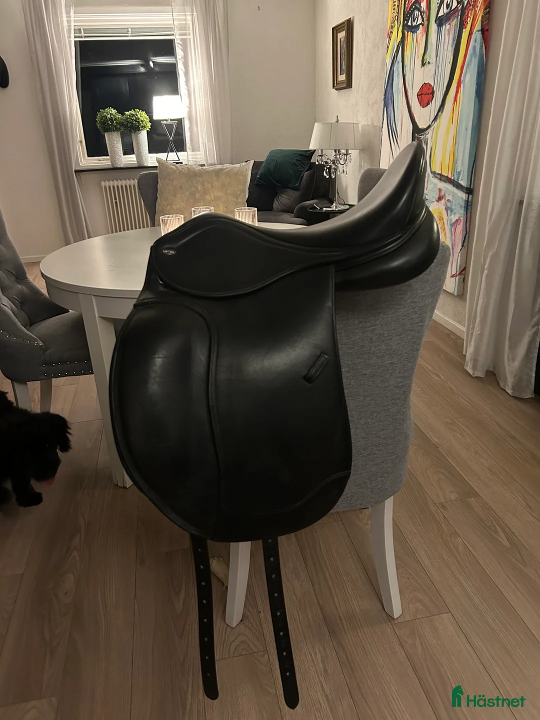 Sadlar hästutrustning till salu: Letek by Tekna dressyrsadel  i Bromölla - Annons 1