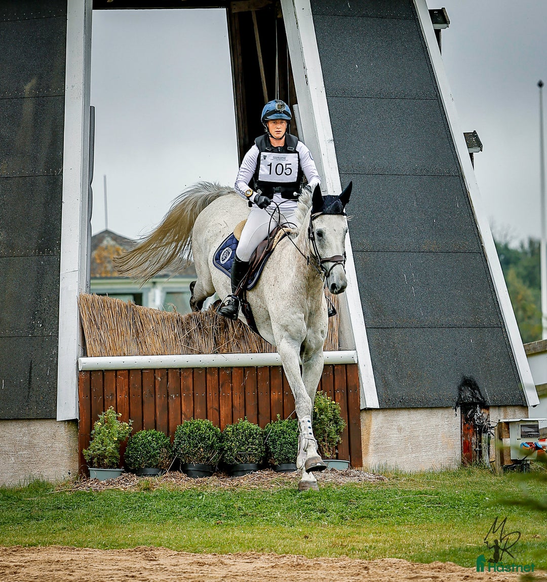 Dressyr hästar till salu: Terrängmaskin - Annons 1