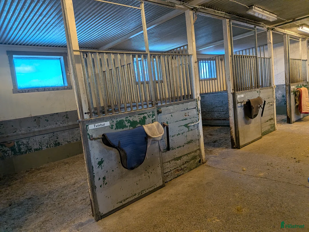  stallplats finnes: Stallplats finns i Kungsbacka - Annons 2