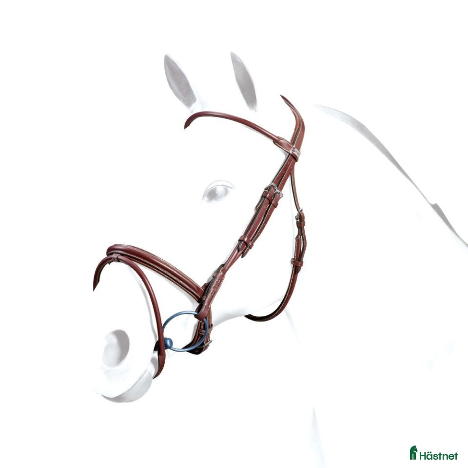 Träns hästutrustning till salu: Equipe träns stl cob i super bra skick  i Göteborg - Annons 4