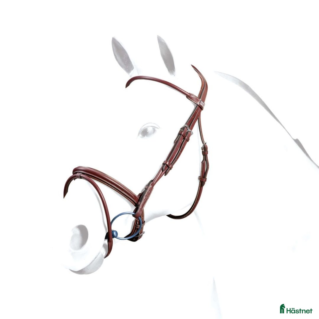 Träns hästutrustning till salu: Equipe träns stl cob i super bra skick  i Göteborg - Annons 1