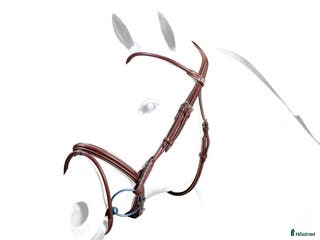 Träns hästutrustning till salu: Equipe träns stl cob i super bra skick i Göteborg - Annons 18