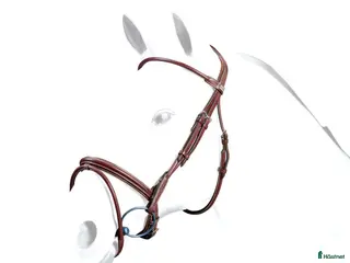 Träns hästutrustning Equipe träns stl cob i super bra skick i Gothenburg - Annons 1