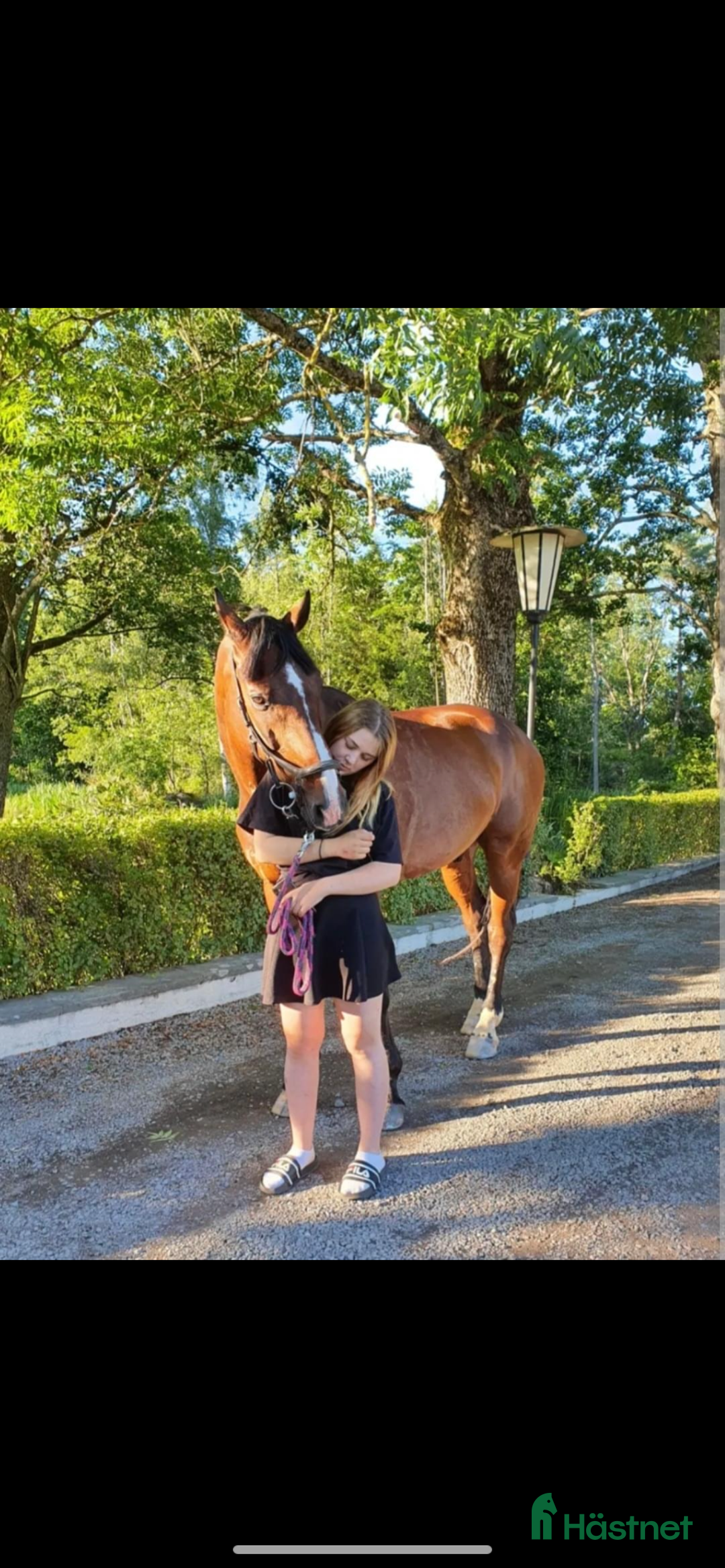  hästjobb finnes: Tillridning  i Munkedal - Annons 3