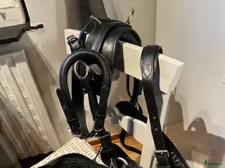 Körselar körning till salu: Bröstsele m svanskappa, tömmar o frakt Shettis - Annons 21