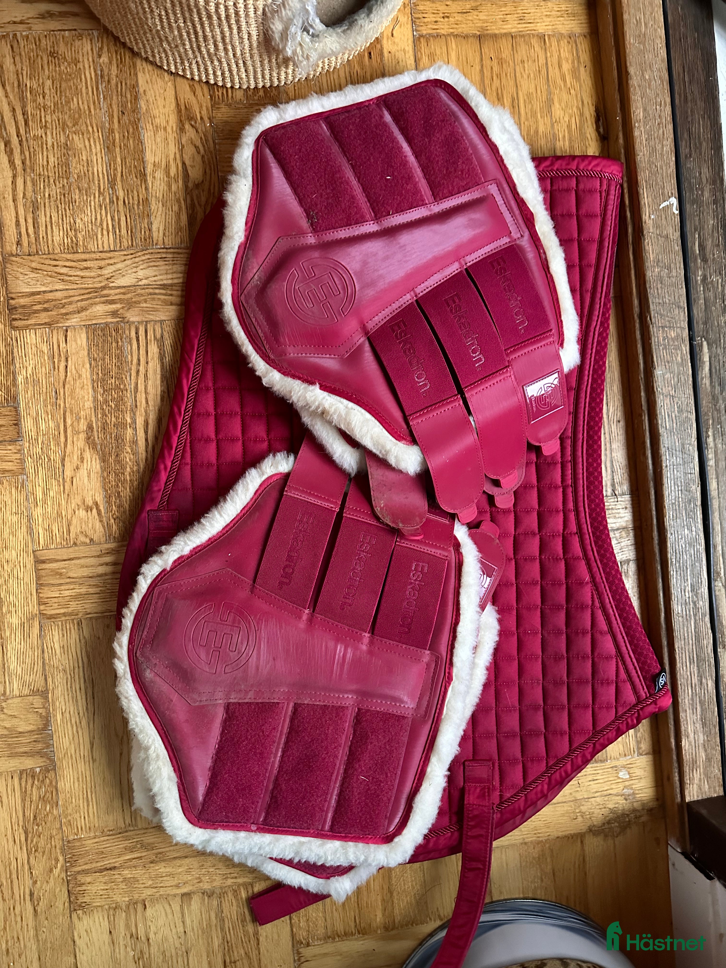 Schabrak & Vojlockar hästutrustning till salu: Snyggt set Eskadron i Borlänge - Annons 2