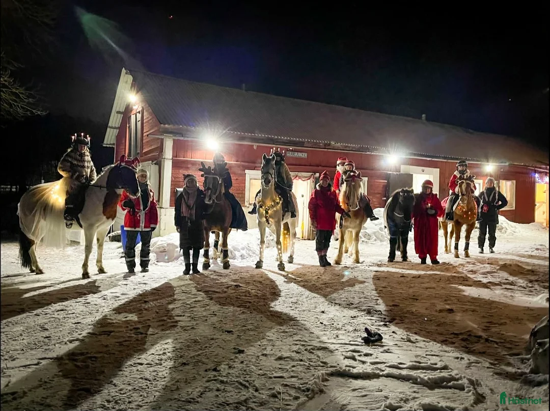  stallplats finnes: Stallplats söder om Stockholm  i Huddinge - Annons 4