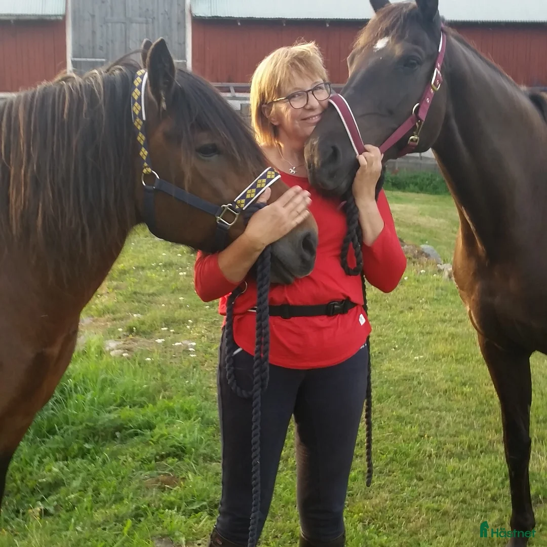 Galleribild {{count}}