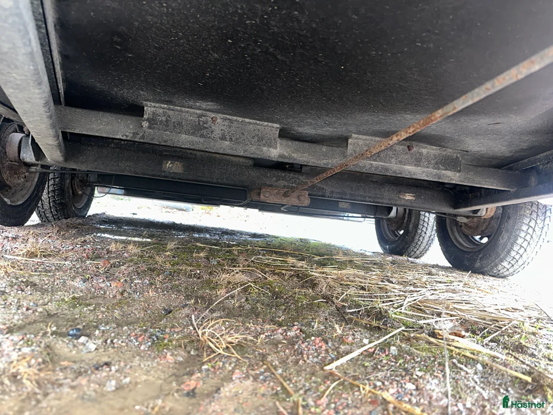 Hästtransporter  fordon & transport till salu: Fautras Provan - Annons 6