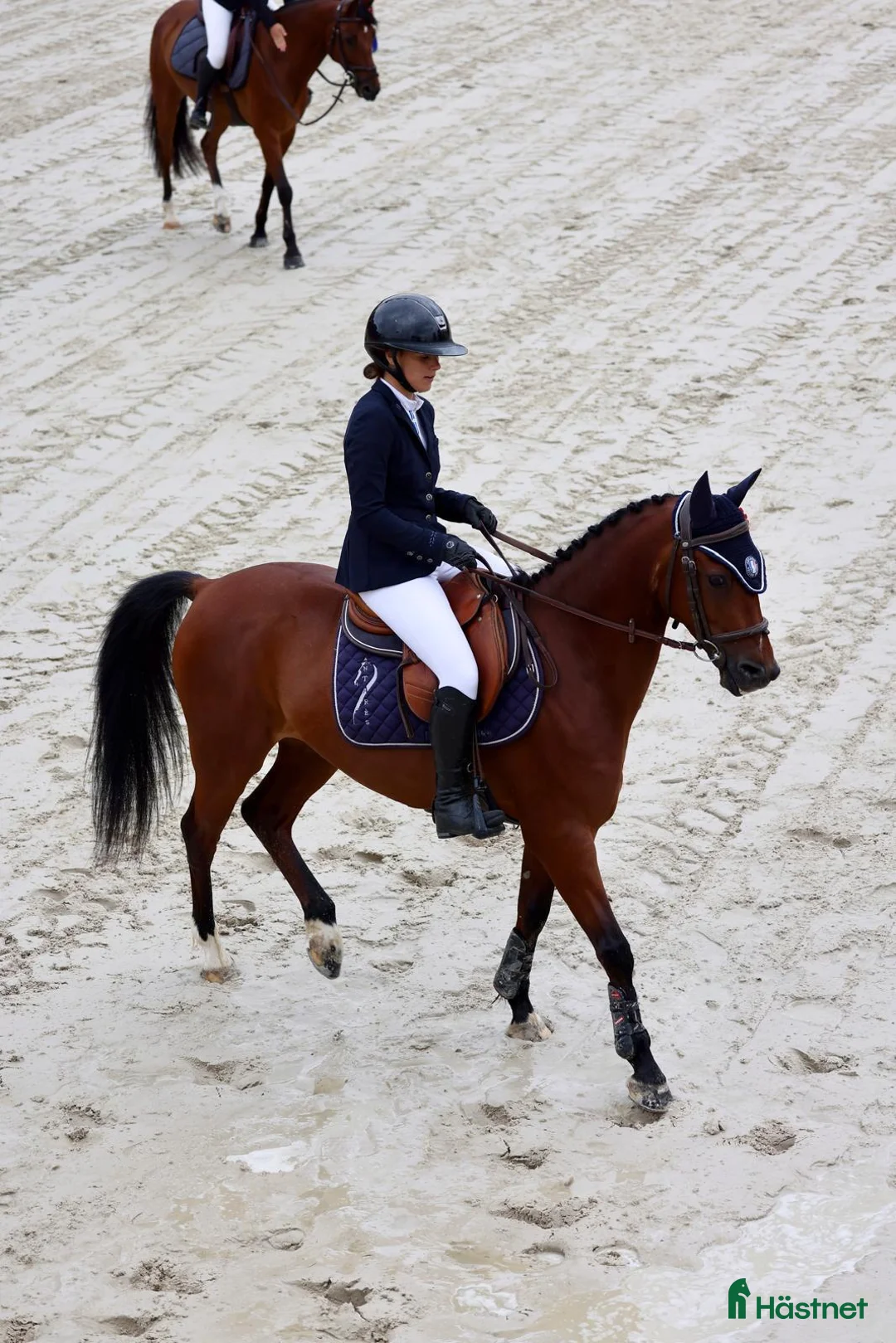 Hoppning hästar till salu: Top 148 - 130 Grand Prix pony at Gateau Stables i Stockholm - Annons 3