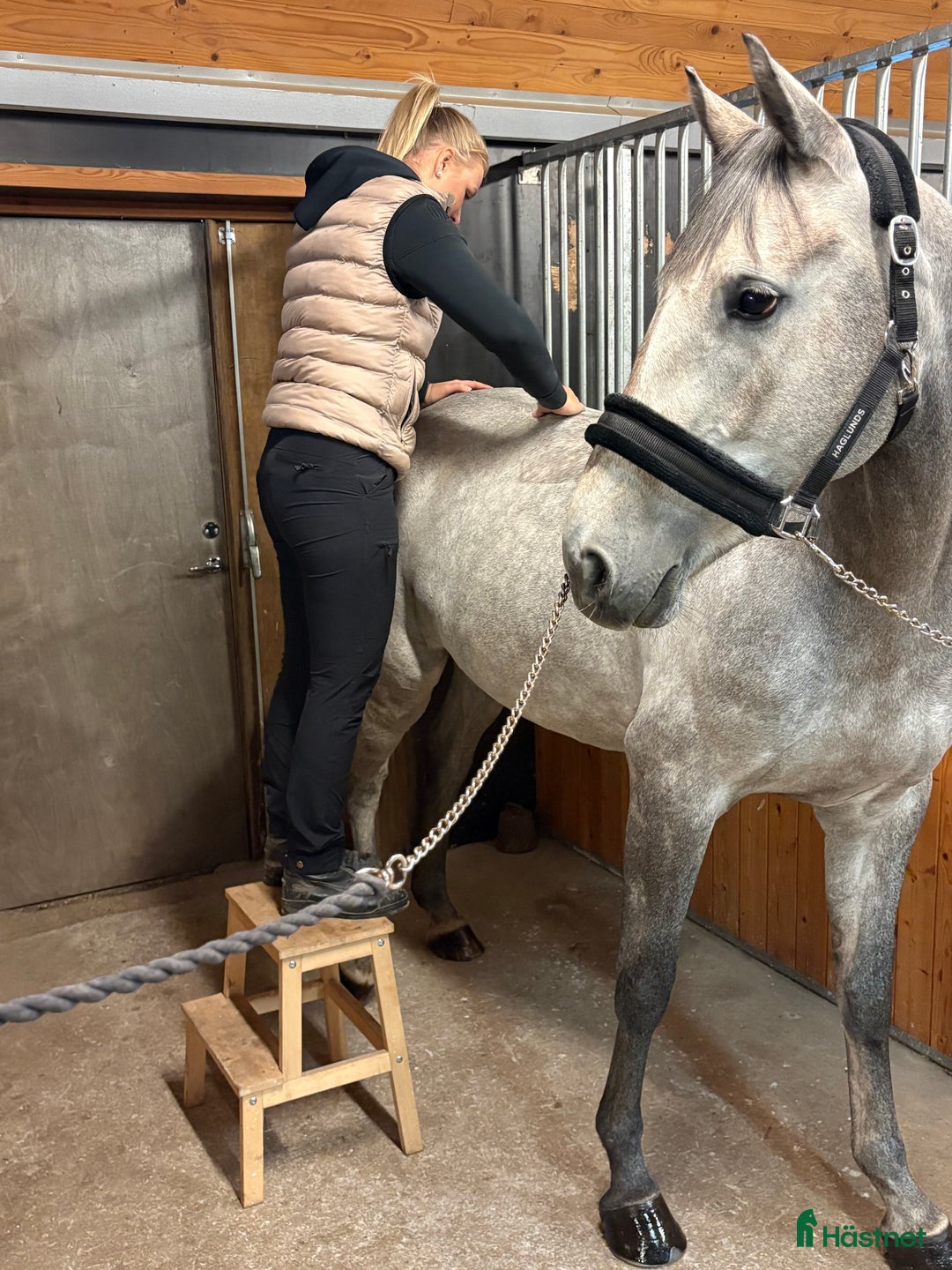  hästservice finnes: Ge din häst den bästa julklappen🎅🏼 i Kristdala - Annons 1