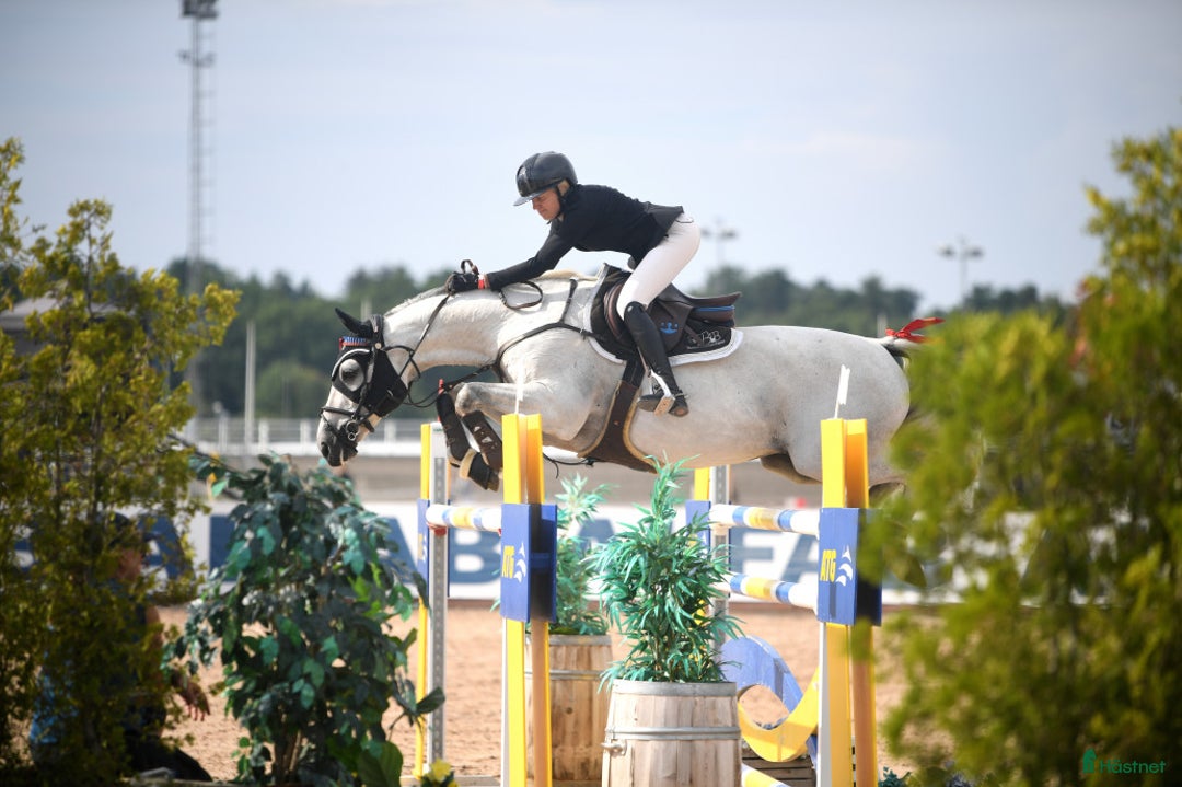 Galleribild {{count}}