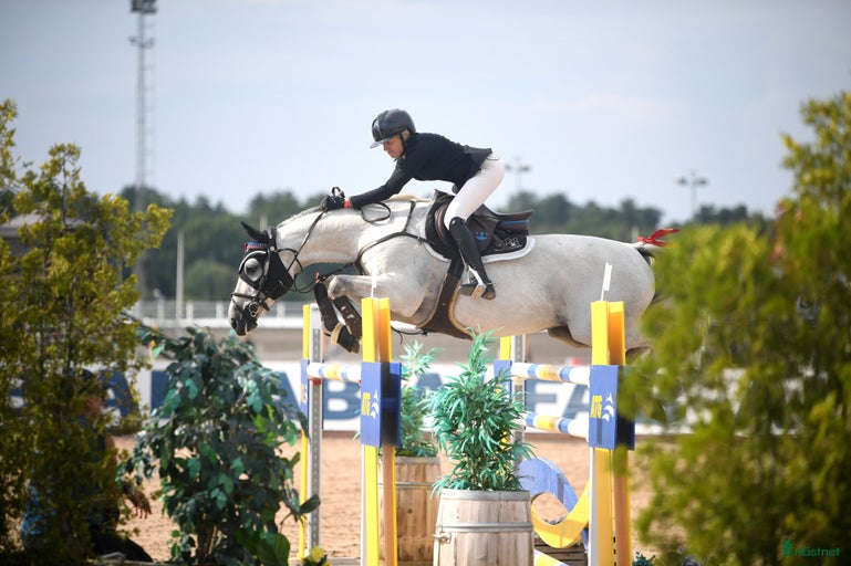 Galleribild {{count}}