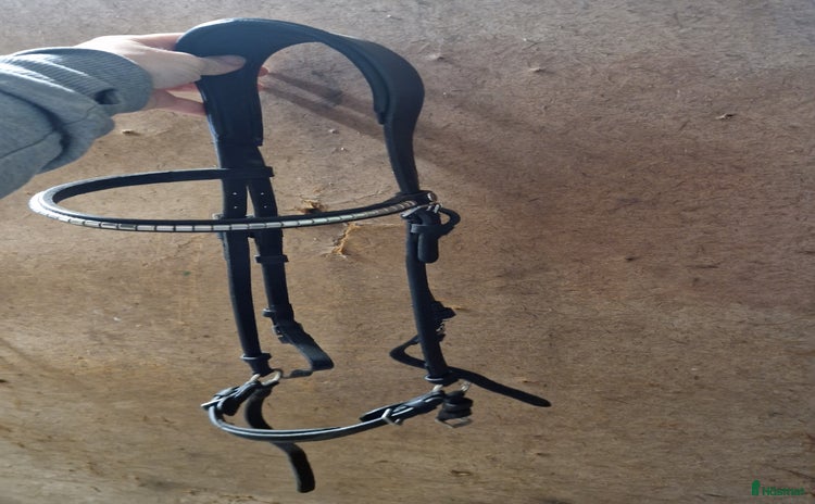 Träns hästutrustning till salu i Umeå - Annons 19