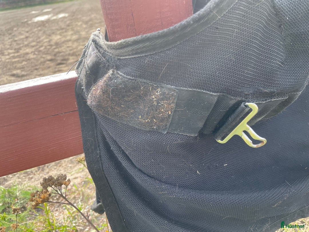 Täcken hästutrustning till salu: Back on Track diamond mesh 125 cm i Kungsängen - Annons 11