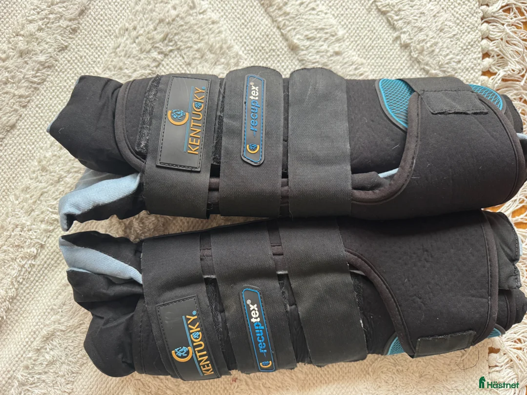 Benskydd hästutrustning till salu: Magnetskydd Recuptex Svart - Annons 3