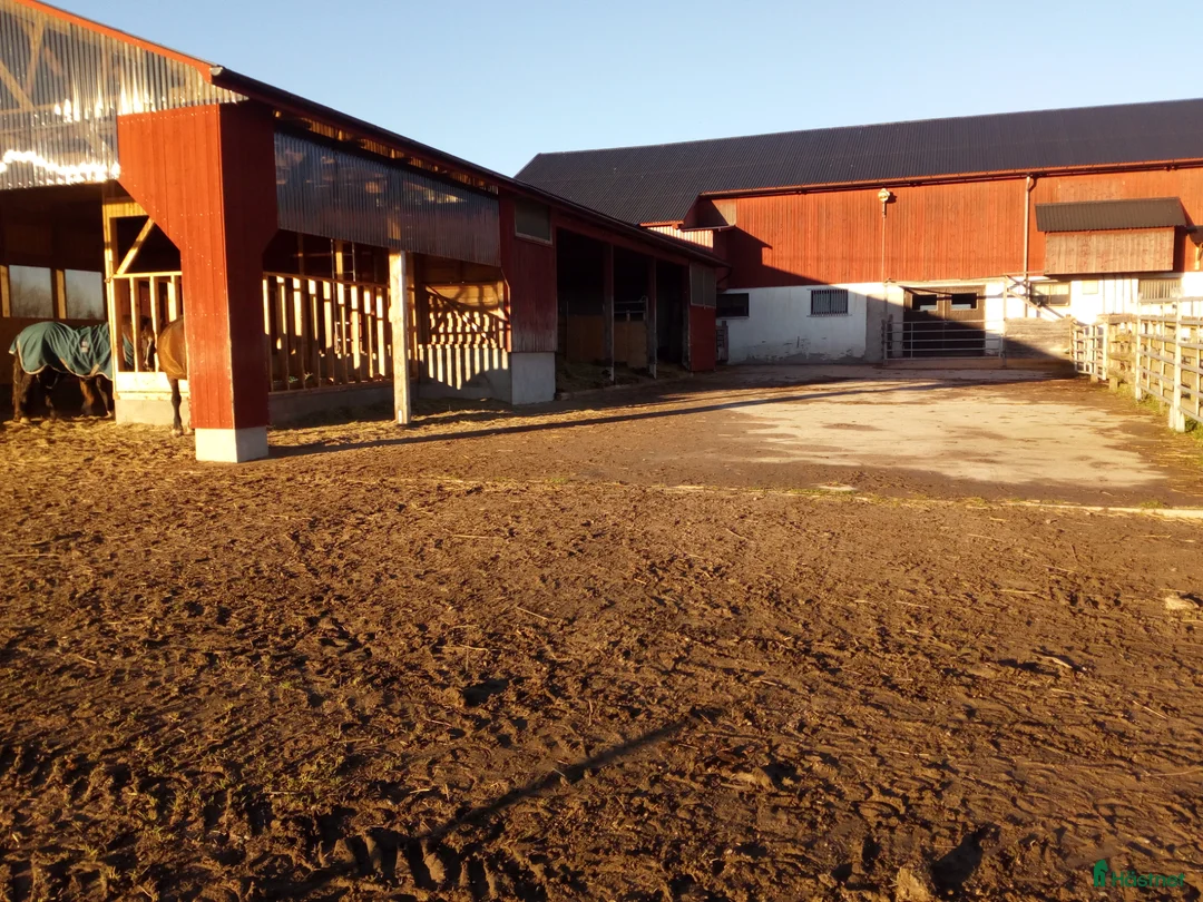  stallplats finnes: Stort stall Träningsbana  uthyres säffle - Annons 1