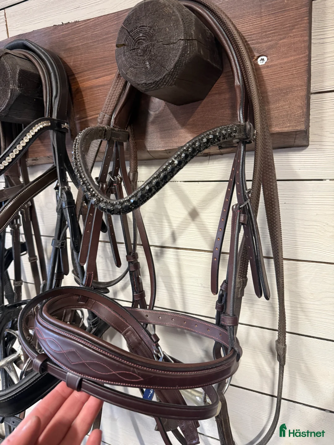 Träns hästutrustning till salu: Dyon anatomic nytt - Annons 1