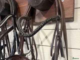 Träns hästutrustning Dyon anatomic nytt - Annons 1