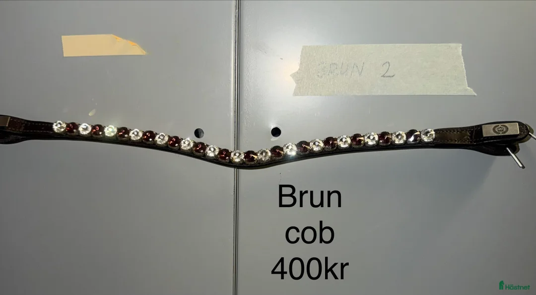 Träns hästutrustning till salu: Ps pannband i Färgelanda - Annons 2