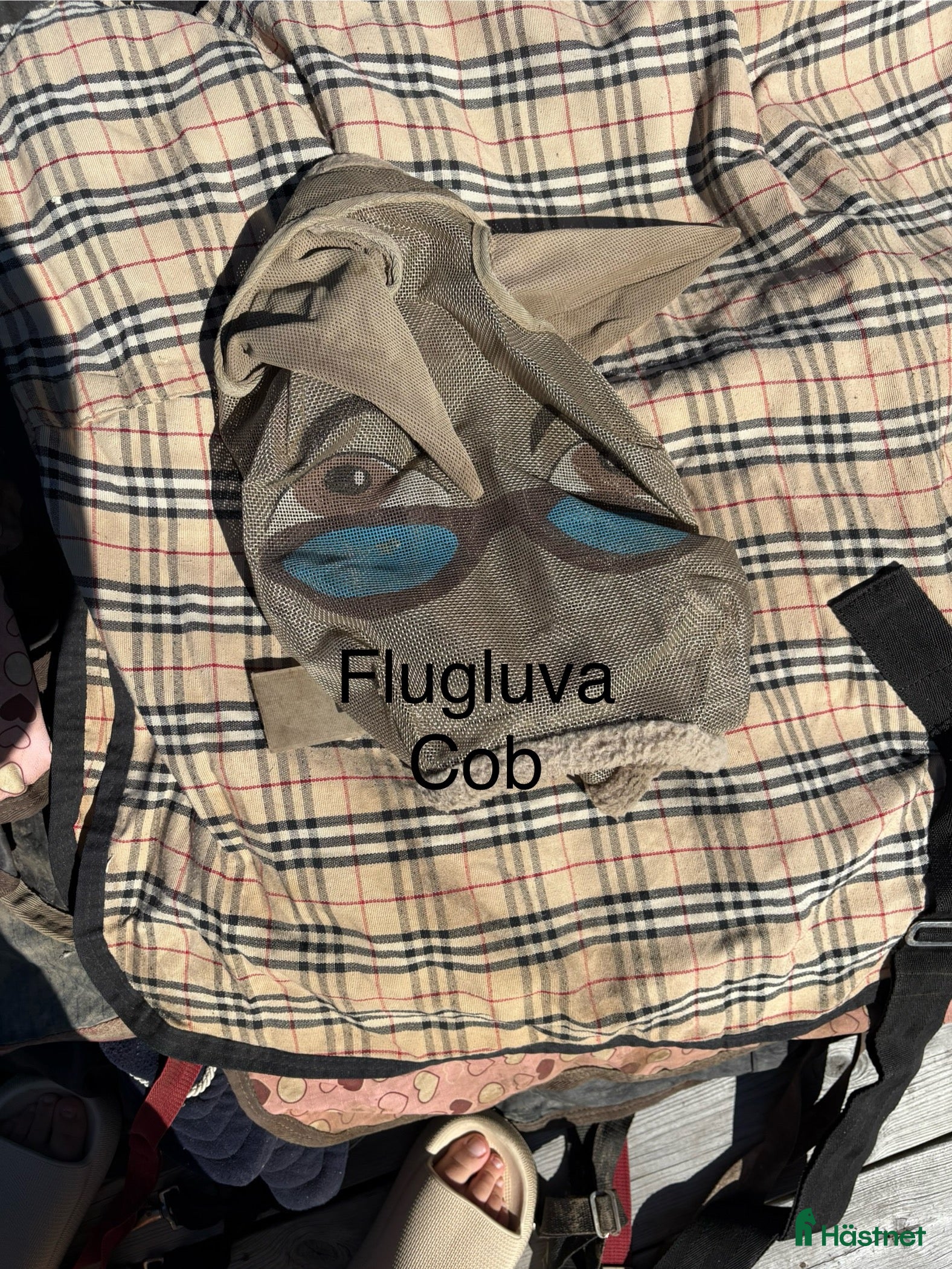 Övrig Hästutrustning hästutrustning till salu: Häst och ponny saker - Annons 4