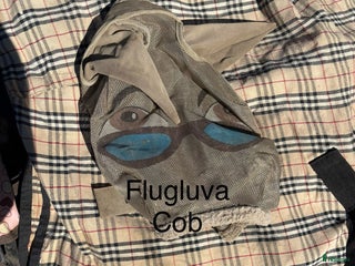 Övrig Hästutrustning hästutrustning till salu: Häst och ponny saker - Annons 4