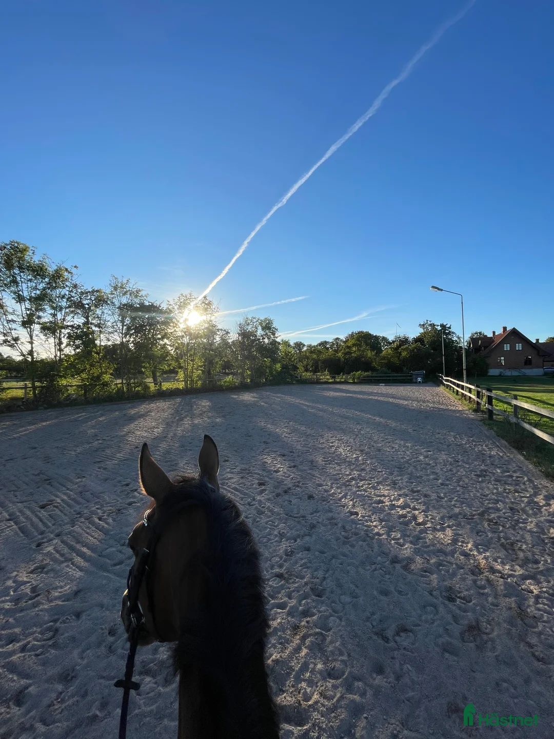  stallplats finnes: Boxplats Stallplats Box Stall Kristianstad i Kristianstad - Annons 2