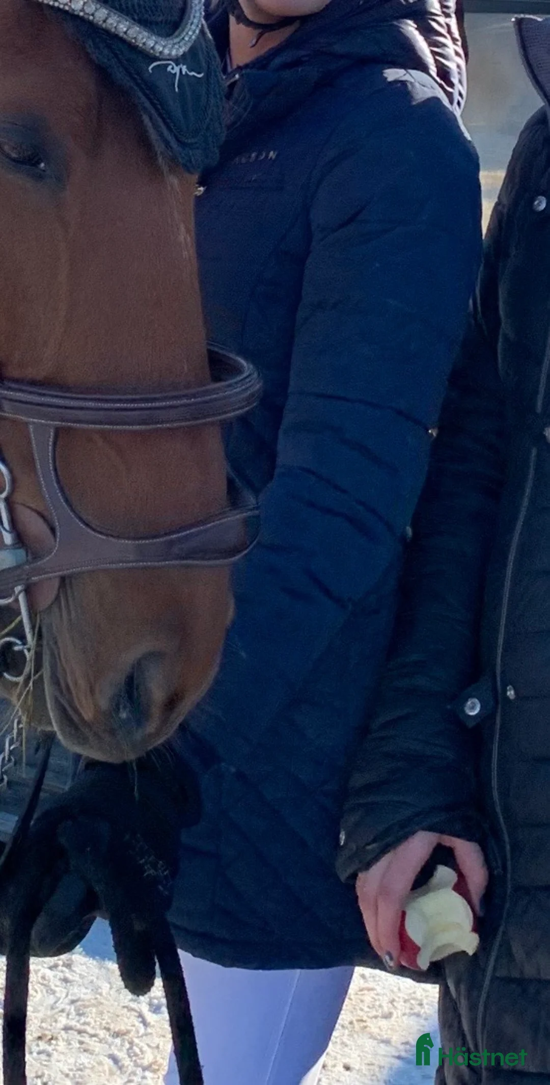 Jackor & Kavajer ryttarutrustning till salu: Jackson vinterkappa - Annons 5