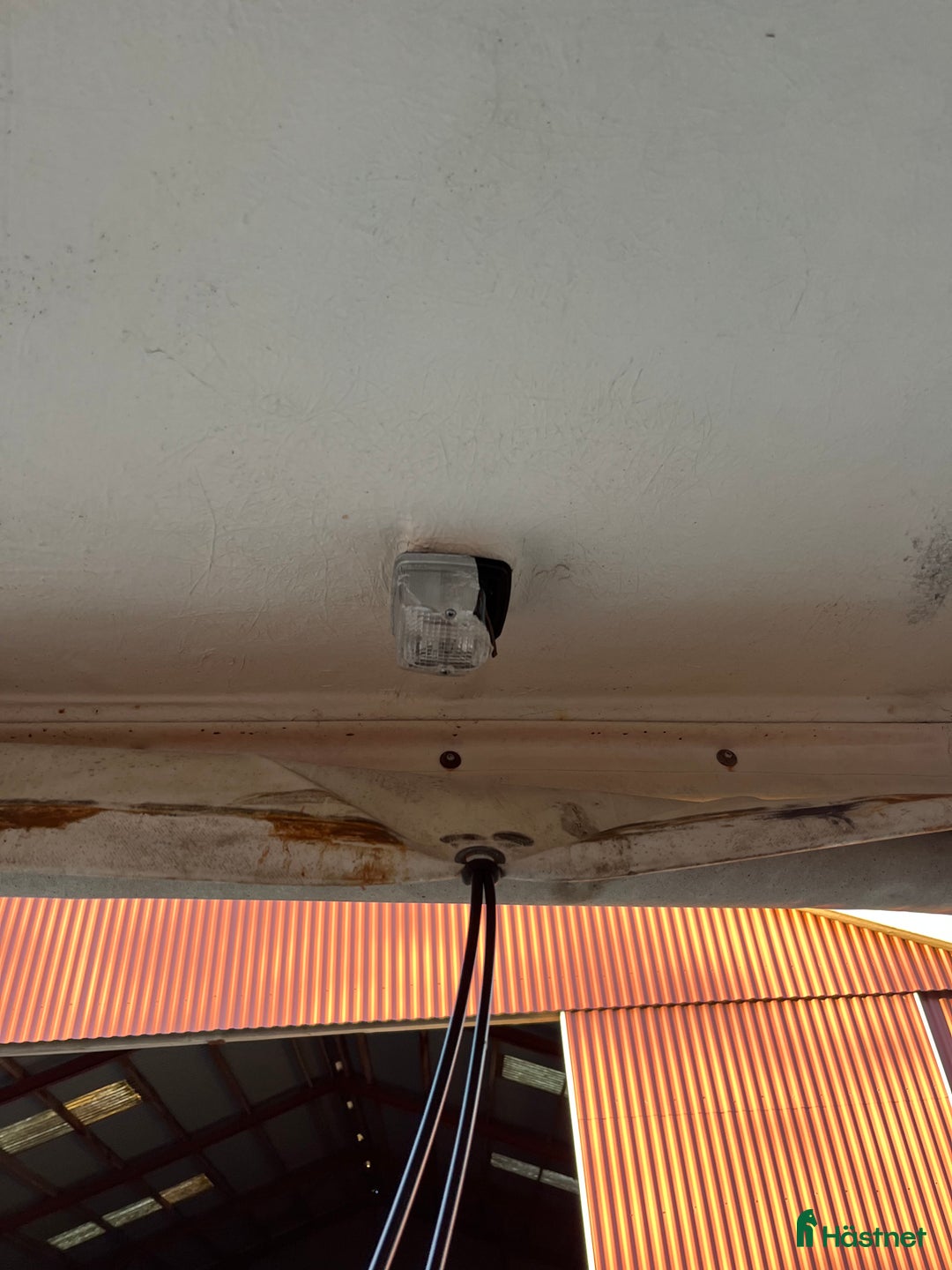 Hästtransporter  fordon & transport till salu: Christ Concorde  - Annons 10